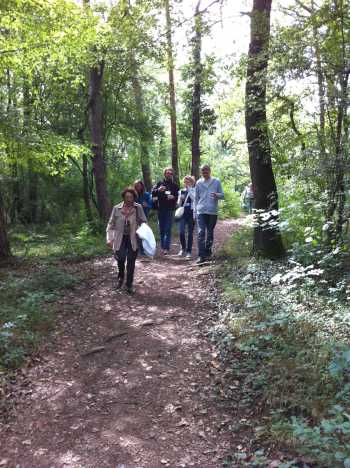 La marche dans la fort d'Obernai